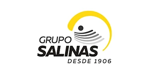 Grupo Salinas